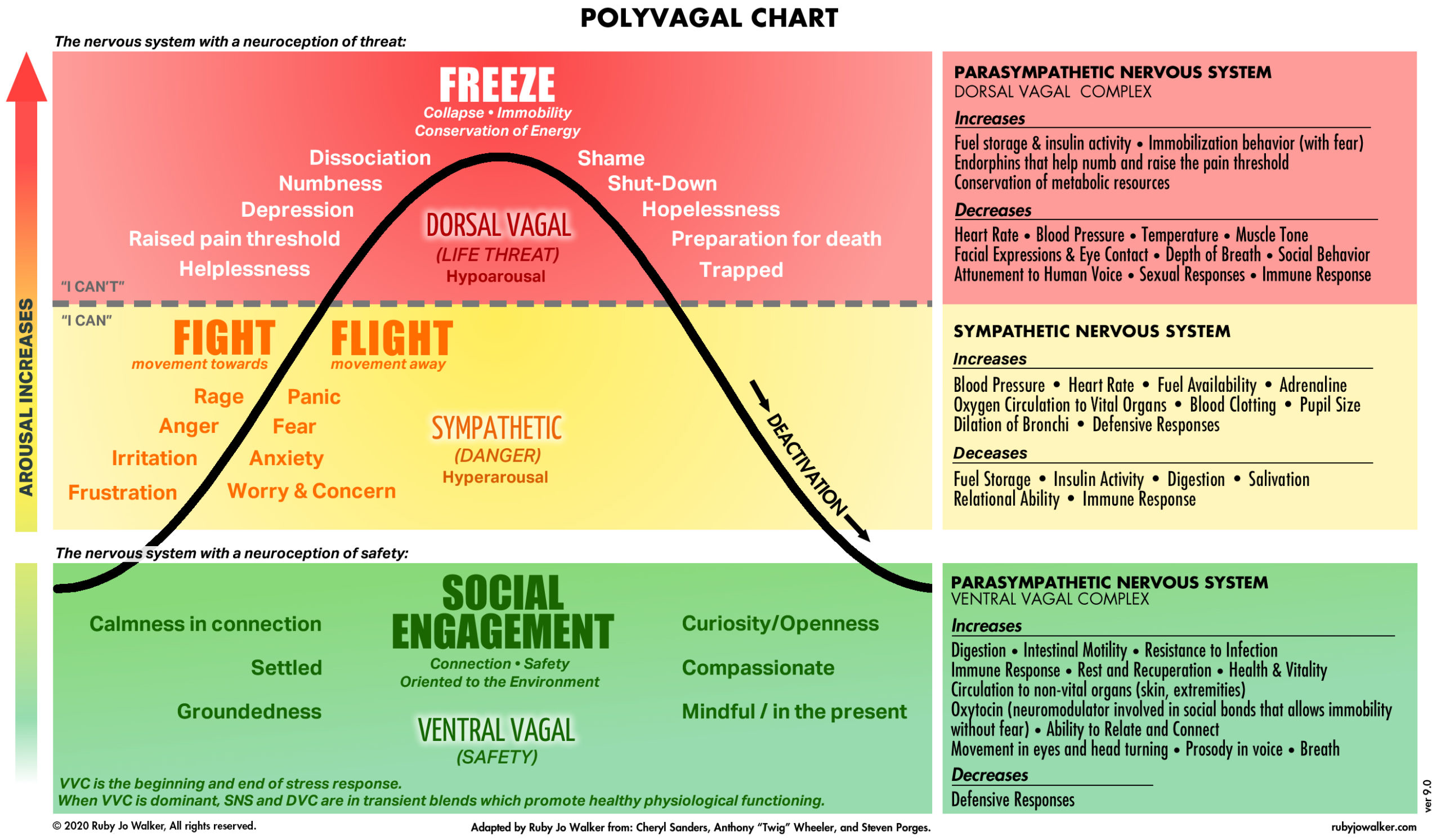 How to Map Your Own Nervous Sytem: The Polyvagal Theory