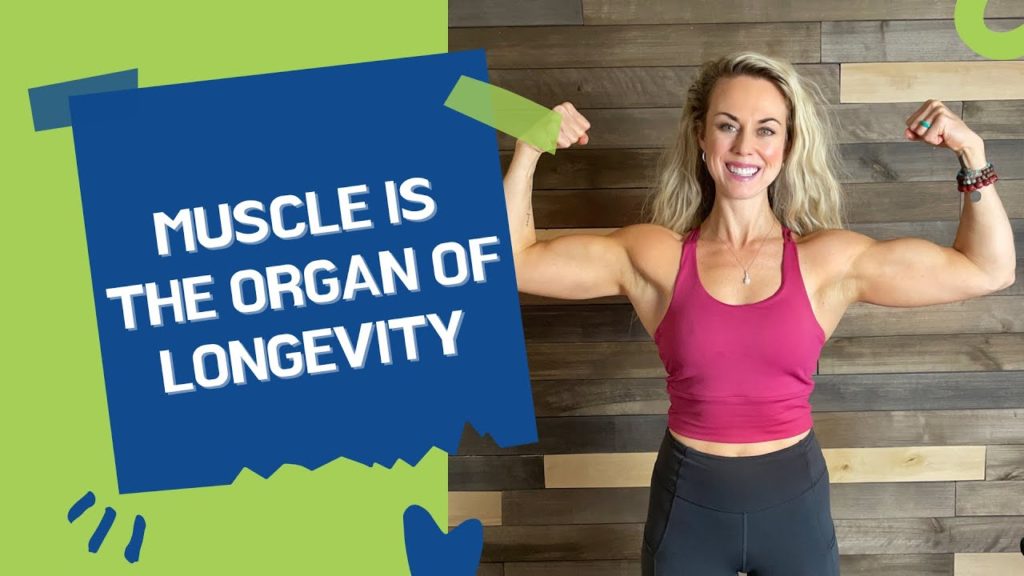 muscle is your organ of longevity